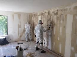 Mold Odor Removal Services in Lavonia, GA